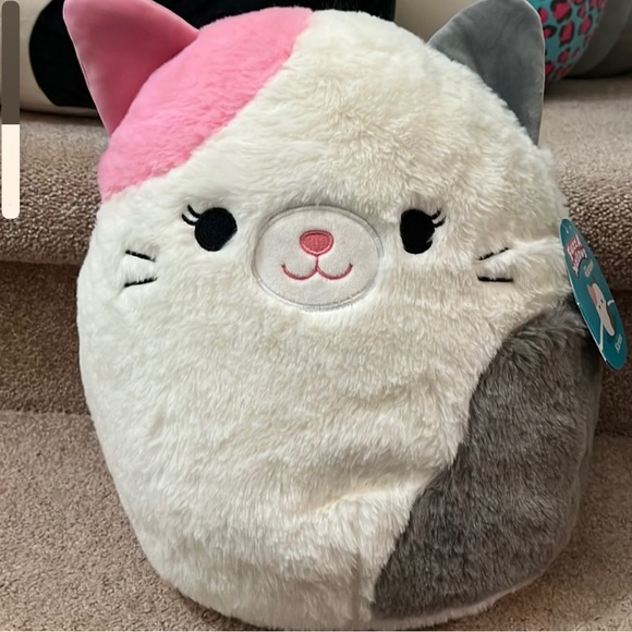 Meet your Posher, Jaime - Picture 15 of 15